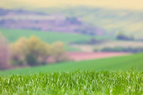 Blured Landscape background - focus on the front grass Stock Photos