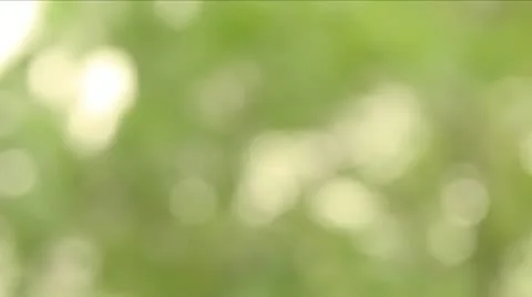 Blured reflections Stock Footage 11508403