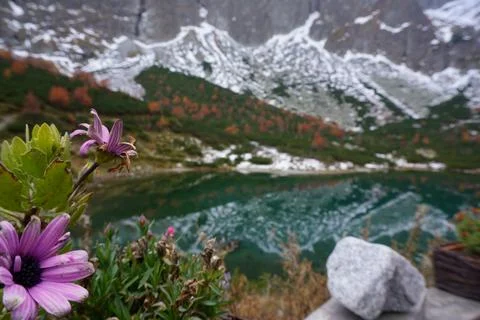 Blured, selective focus, High Tatras and Zelene Pleso Green water lake with B Stock Photos