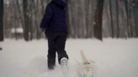 Blured Slow Motion Of White jack russell Dog with litle girl Running Through Stock Footage 119419827