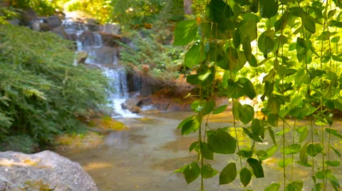 Blured waterfall in the park background Stock Footage 63592406