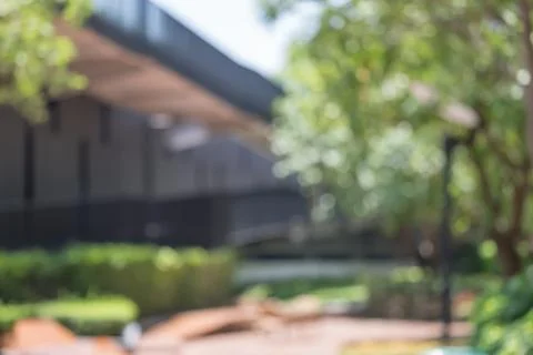 Blurred abstract background of bench under tree in green at modern eco office Foto stock