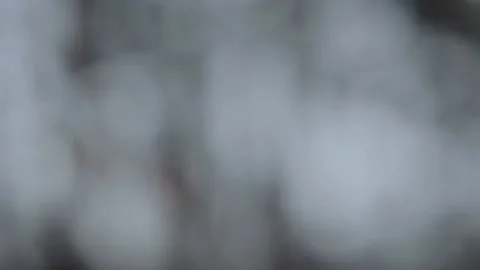 Blurred abstract background Stock-Footage 143988161