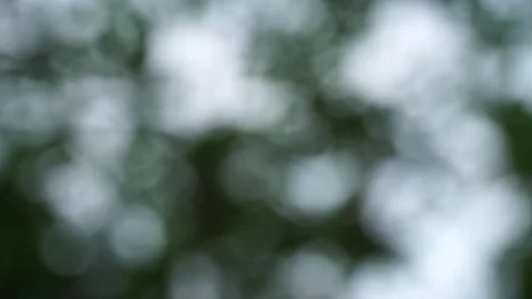Blurred abstract background at the garden Stock Footage 294035027
