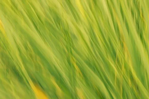 Blurred abstract background Stock Photos