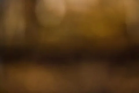 Blurred Abstract Background Stock Photos