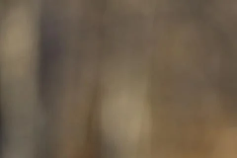 Blurred Abstract Background Stock Photos