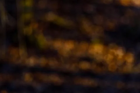 Blurred Abstract Background Stock Photos