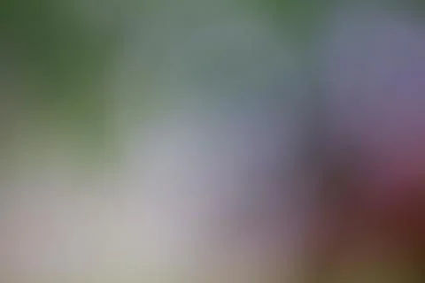 Blurred abstract background with soft gradient tones for modern design projec Stock Photos