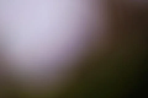 Blurred abstract background with soft gradient tones for creative design pr.. Stock Photos
