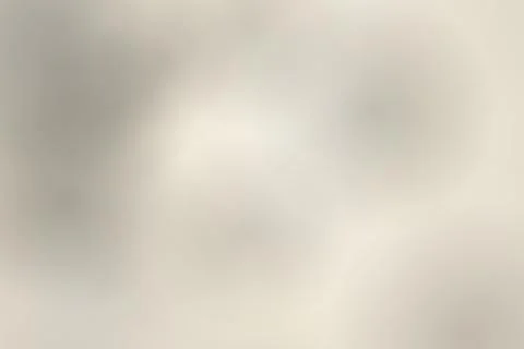 Blurred abstract background with soft neutral tones Stock Photos