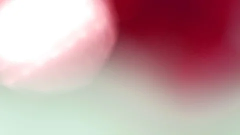 Blurred abstract bokeh lights, subtle on a background Stock Footage 125679419