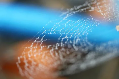 Blurred abstract cobweb or spiderweb natural with rain drop on the line again Stock Photos