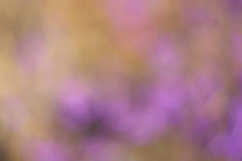 Blurred abstract colored background. for design or copy space Stock Photos