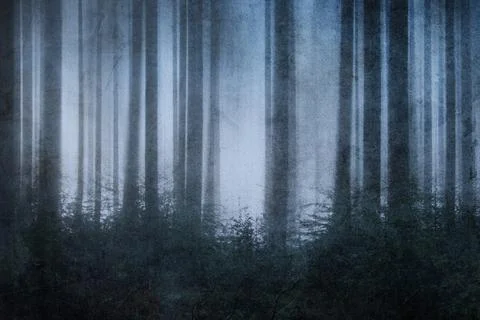 A blurred abstract edit of a dark, spooky forest on an atmospheric night イラスト素材