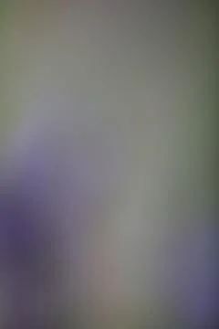 Blurred abstract gradient background with soft light transition Stock Photos