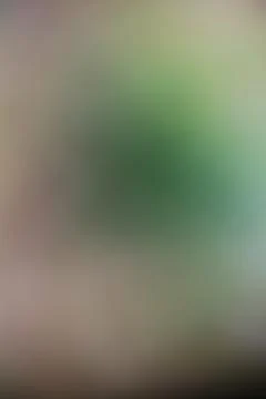Blurred abstract gradient background with soft green and beige tones Stock Photos