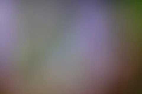 Blurred abstract gradient background with soft color transition for design .. Stock Photos