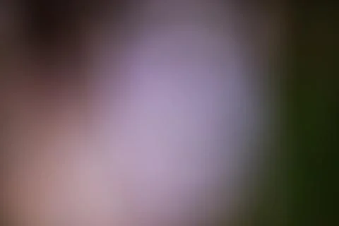 Blurred abstract gradient background with soft purple and green tones Stock Photos