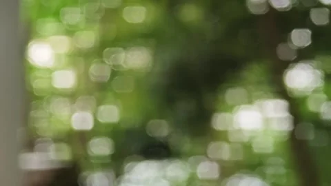 Blurred abstract green nature bokeh background. Stock Footage 340201734