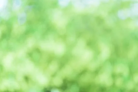 Blurred abstract spring green background Foto stock