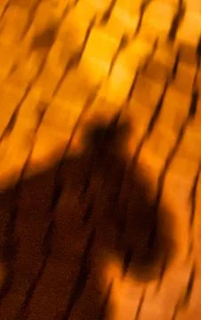 Blurred abstract textured background with shadow of a person in warm orange.. Stock Photos