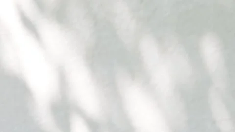Blurred abstract white background Stock Footage 258619649