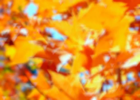 Blurred Autumn Background Stock Photos