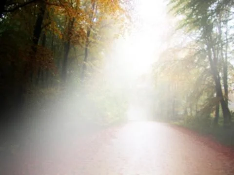 Blurred autumn Stock Illustration