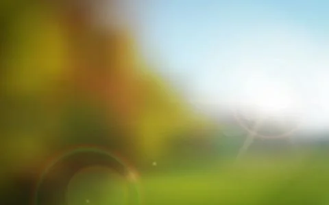 Blurred autumn sunset vector background Ilustração Stock