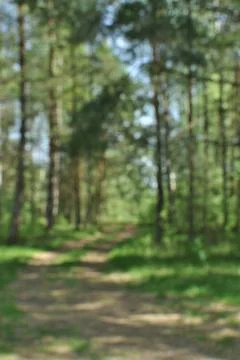 Blurred background. Abstract blur of forest panorama. Bokeh, background. Stock Photos