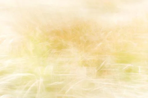 Blurred background - abstract nature backdrop - soft meadow landscape Stock Photos