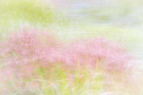 Blurred background - abstract nature backdrop - soft meadow landscape Stock Photos