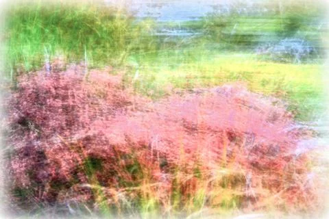 Blurred background - abstract nature backdrop - soft meadow landscape Stock Photos