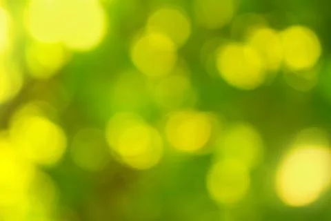 Blurred background, bokeh effect Stock Photos