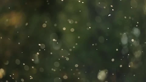 Blurred background bokeh insect flock in sunlight psychedelic movement Stock Footage 163487603