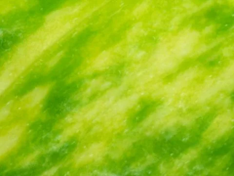 Blurred Background of Colorful Leaf Surface for Graphic Resources Stockfoto's
