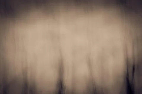 Blurred background for design. Stock Photos