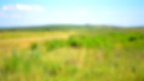 Blurred background. field on a hot summer day sound, natural background. Stock Footage 138017450
