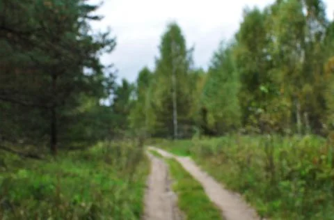 Blurred background of forest road. Stock Photos