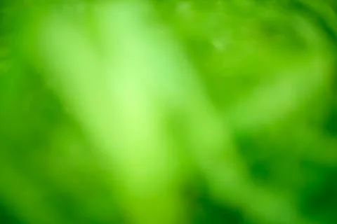 Blurred background of  grass Stock Photos