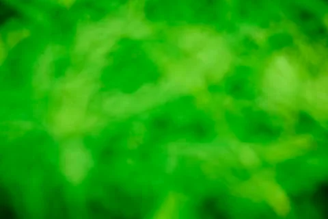 Blurred background of  grass Stock Photos