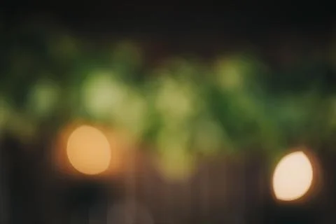 Blurred background of green foliage with soft glowing lights creating a bok.. Stock Photos