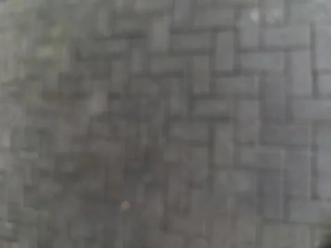 Blurred background of grey paving block tiles pattern on the ground floor. Stock Photos