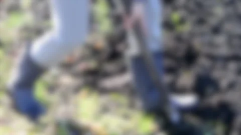 Blurred background. Hand man digs the ground close-up Stock Footage 135643858