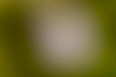 Blurred background Stock Illustration