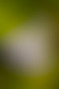 Blurred background Stock Illustration