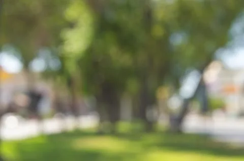 Blurred background image of green trees Mexico Stock Photos