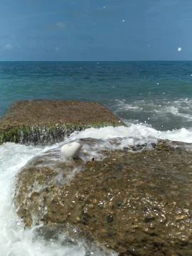Blurred background. The increasing wave foaming and splashing drops. Summer n Stock Photos