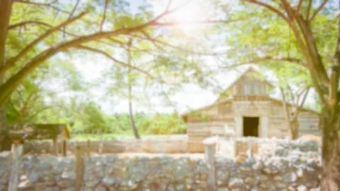 Blurred background with Large tree and horses farm Foto stock